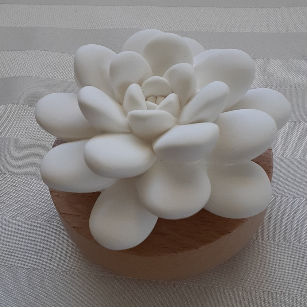 NEW DoTerra Desert Bloom Passive Diffuser LE